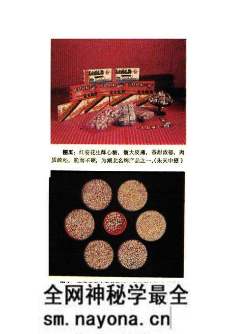 《鄂东名物风味辑览》.pdf电子版_湖北省志预览图4 《鄂东名物风味辑览》.pdf电子版_湖北省志预览图4