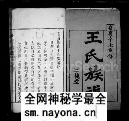湖南王氏族谱-王氏族谱 [3卷,首1卷].pdf电子版预览图2