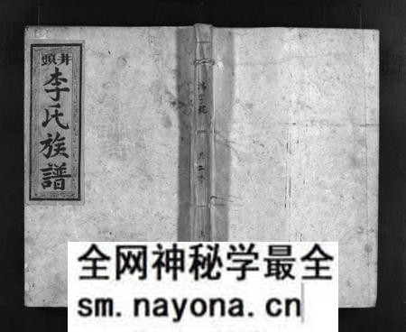 湖南李氏族谱-金山井头李氏族谱 [不分卷].pdf电子版预览图1