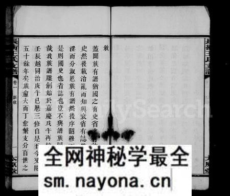 湖南王氏族谱-王氏支谱 [10卷,含首1卷].pdf电子版预览图5