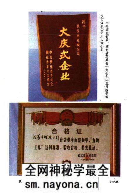 《武汉工业用煤志》.pdf电子版_湖北省志预览图5