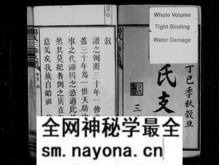 湖南杨氏族谱-杨氏三修支谱 [5卷,首2卷].pdf电子版预览图3