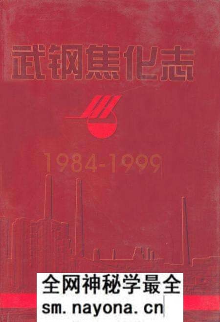 《《武钢焦化志》(1984-1999)》.pdf电子版_湖北省志预览图