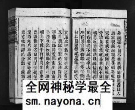 湖南李氏族谱-金山井头李氏族谱 [不分卷].pdf电子版预览图4