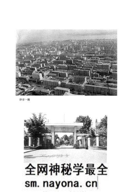 《沙市政权志》.pdf电子版_湖北省志预览图4 《沙市政权志》.pdf电子版_湖北省志预览图4