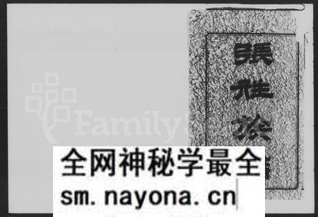 湖南张氏族谱-大湖张姓四修族谱 [10卷,首1卷].pdf电子版预览图2