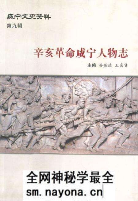 《辛亥革命咸宁人物志》.pdf电子版_湖北省志预览图