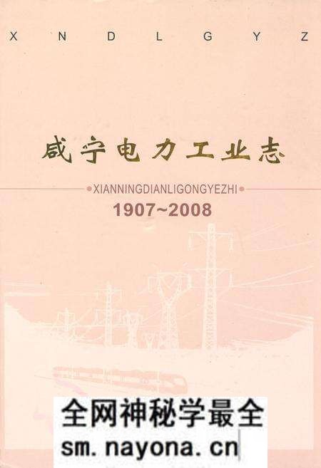 《咸宁电力工业志(1907~2008)》.pdf电子版_湖北省志预览图
