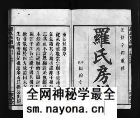 湖南罗氏族谱-罗氏房谱 [残卷].pdf电子版预览图2