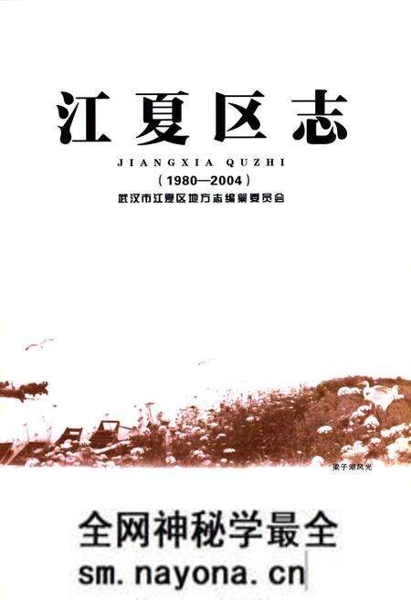《江夏区志(1980-2004)》.pdf电子版_湖北省志预览图1