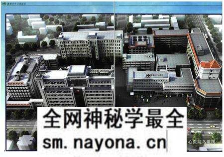 《《襄樊市中心医院志(三)(1999-2008)》》.pdf电子版_湖北省志预览图5