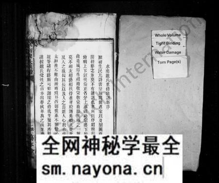 江西魏氏族谱-水南魏氏族谱.pdf电子版预览图1