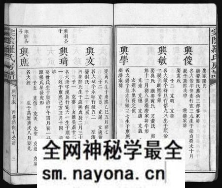 江西罗氏族谱-棠阴罗氏房谱[残4卷].pdf电子版预览图4