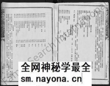 江西王氏族谱-宁都小布木瓜园王氏重修族谱 [不分卷].pdf电子版预览图5