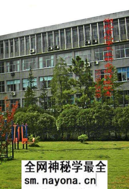 《湖北省化学工业研究设计院院志(1978-2008)》.pdf电子版_湖北省志预览图3