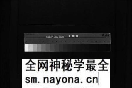 湖南薛氏族谱-薛氏族谱 [4卷].pdf电子版预览图