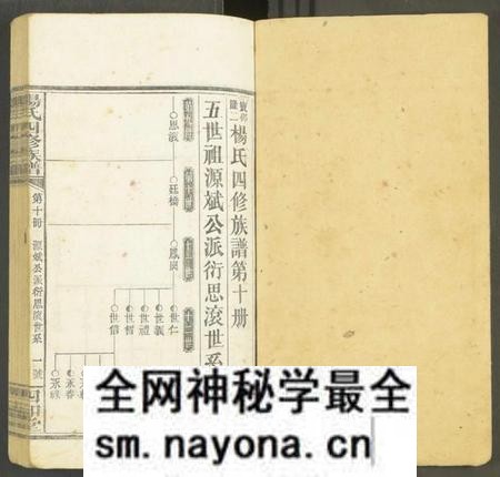 湖南未知族谱-杨氏四修族谱 [12册].pdf电子版预览图1