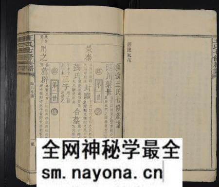 江西王氏族谱-王氏七修族谱 [不分卷].pdf电子版预览图5