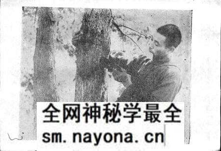 《湖北省竹溪县地名志》.pdf电子版_湖北省志预览图5 《湖北省竹溪县地名志》.pdf电子版_湖北省志预览图5