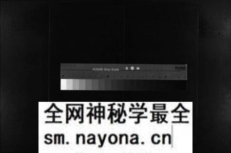 湖南罗氏族谱-罗氏房谱 [残卷].pdf电子版预览图