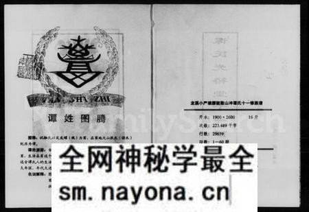 湖南谭氏族谱-谭氏光裕堂十一修族谱 [3卷,及卷首末].pdf电子版预览图2