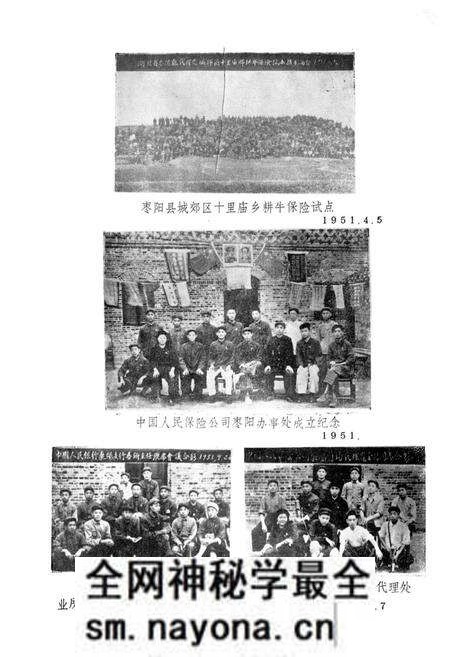 《枣阳县金融志》.pdf电子版_湖北省志预览图5