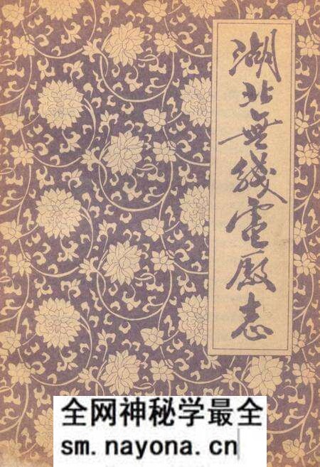 《《湖北无线电厂志》》.pdf电子版_湖北省志预览图