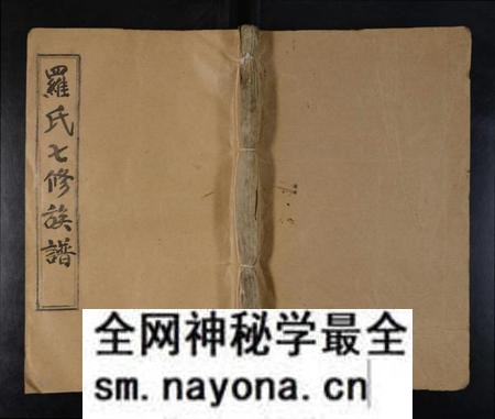 湖南罗氏族谱-龙源罗氏七修族谱 [存4卷].pdf电子版预览图