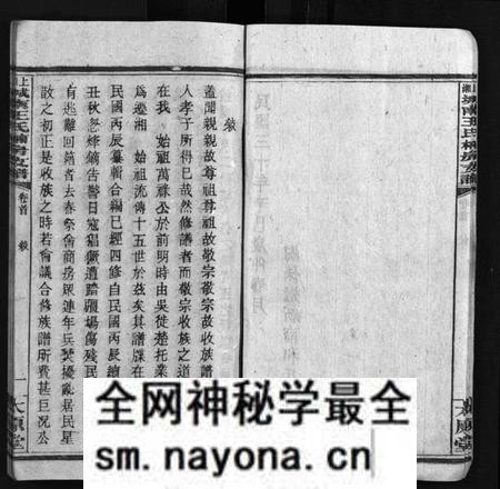 湖南王氏族谱-上湘城南王氏楠房支谱 [4卷,首1卷].pdf电子版预览图3