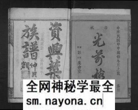 湖南叶氏族谱-资兴叶氏族谱 [不分卷].pdf电子版预览图2