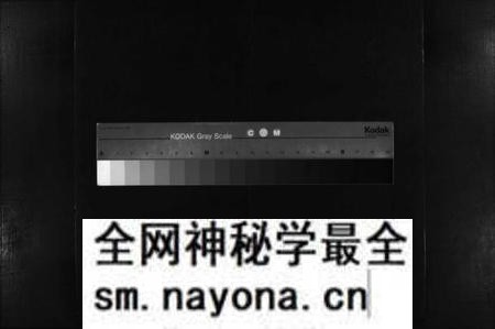 湖南李氏族谱-李氏续修族谱 [不分卷].pdf电子版预览图