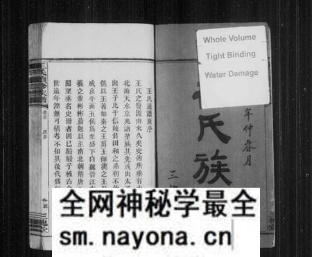 湖南王氏族谱-王氏族谱 [5卷,及卷首].pdf电子版预览图3