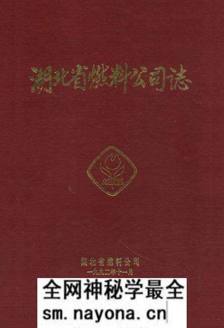 《《湖北省燃料公司志》》.pdf电子版_湖北省志预览图