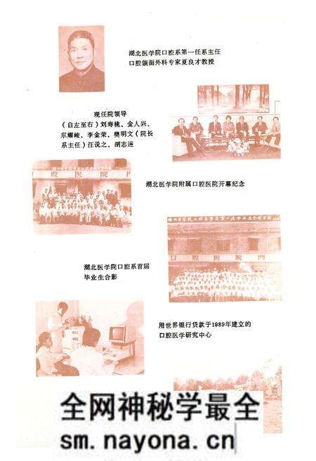 《湖北医学院口腔医院志(1960-1990)》.pdf电子版_湖北省志预览图2 《湖北医学院口腔医院志(1960-1990)》.pdf电子版_湖北省志预览图2