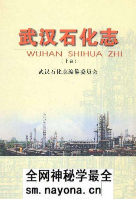 《《武汉石化志上卷》》.pdf电子版_湖北省志预览图