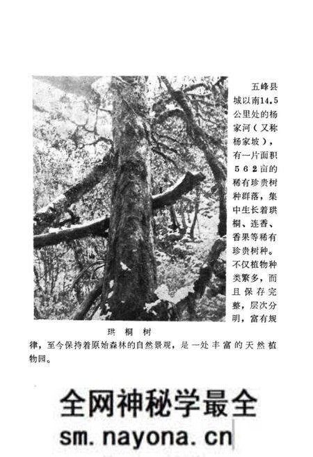 《湖北省五峰县地名志》.pdf电子版_湖北省志预览图5 《湖北省五峰县地名志》.pdf电子版_湖北省志预览图5