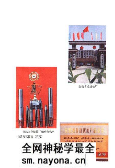 《《公安县农业机械志》》.pdf电子版_湖北省志预览图5