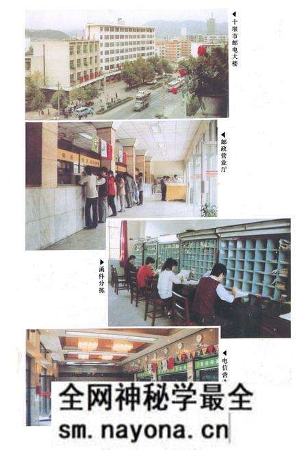 《十堰市邮电志(1940-1985)》.pdf电子版_湖北省志预览图3 《十堰市邮电志(1940-1985)》.pdf电子版_湖北省志预览图3