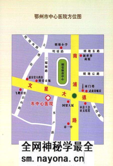 《鄂州市中心医院志(1946-2006)》.pdf电子版_湖北省志预览图4