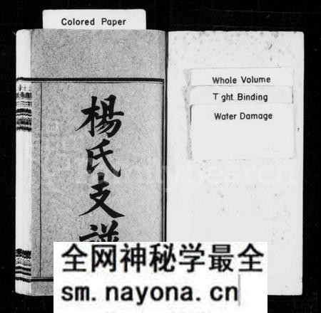 湖南杨氏族谱-杨氏支谱 [10卷,首2卷].pdf电子版预览图2