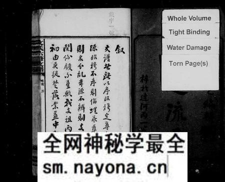 湖南文氏族谱-资阳文氏六修支谱 [8卷,首末各1卷].pdf电子版预览图3