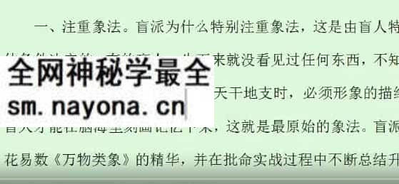 八字命理:河之洲盲派八字2017讲义录音合集 四柱八字实战