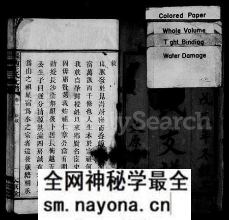 湖南王氏族谱-王氏支谱 [10卷,含首1卷].pdf电子版预览图2