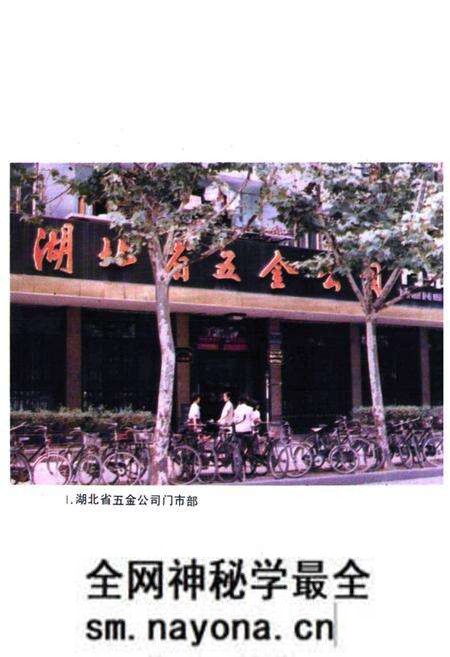 《湖北省商业简志(第四册)·五金商业志》.pdf电子版_湖北省志预览图2 《湖北省商业简志(第四册)·五金商业志》.pdf电子版_湖北省志预览图2