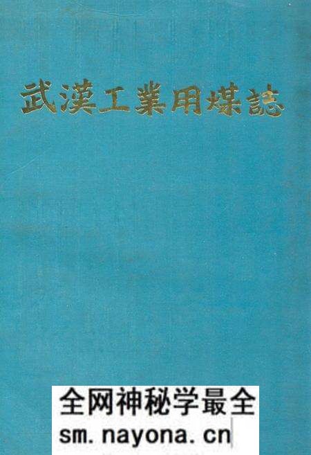《武汉工业用煤志》.pdf电子版_湖北省志预览图