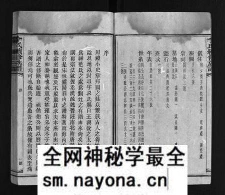 湖南李氏族谱-李氏续修族谱 [不分卷].pdf电子版预览图3