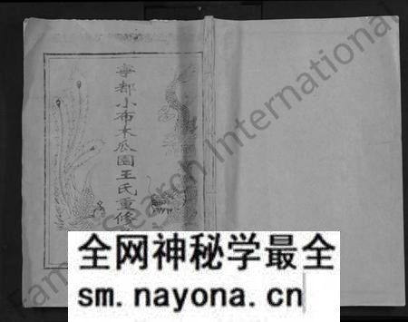 江西王氏族谱-宁都小布木瓜园王氏重修族谱 [不分卷].pdf电子版预览图