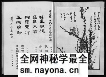 湖南王氏族谱-杨王氏六修族谱 [不分卷].pdf电子版预览图4