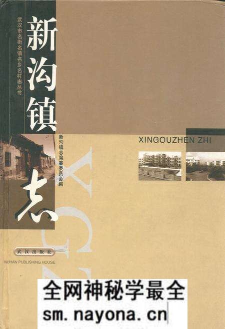 《新沟镇志》.pdf电子版_湖北省志预览图