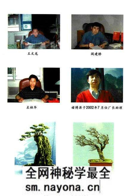 《《鄂钢焦化厂志(1995-2001)》》.pdf电子版_湖北省志预览图5 《《鄂钢焦化厂志(1995-2001)》》.pdf电子版_湖北省志预览图5